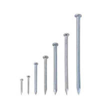 Hot Dip Galvanized Hardened Steel Concrete Nails